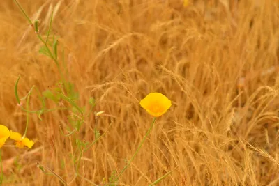 DSC_6513 (Large).JPG